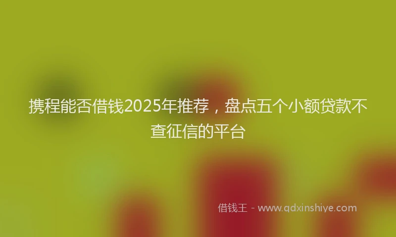 携程能否借钱2025年推荐，盘点五个小额贷款不查征信的平台