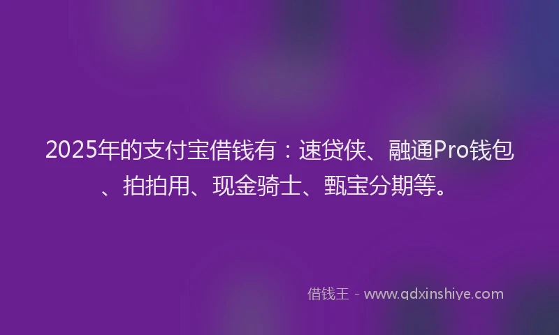 2025年的支付宝借钱有：速贷侠、融通Pro钱包、拍拍用、现金骑士、甄宝分期等。