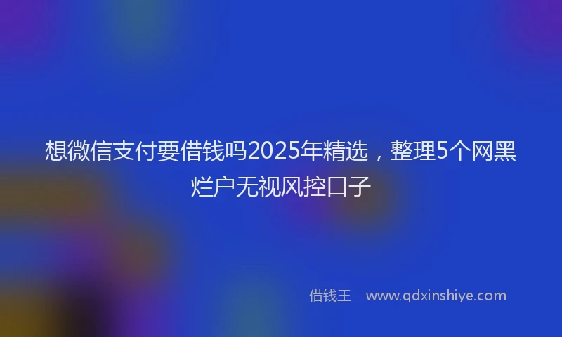 想微信支付要借钱吗2025年精选，整理5个网黑烂户无视风控口子