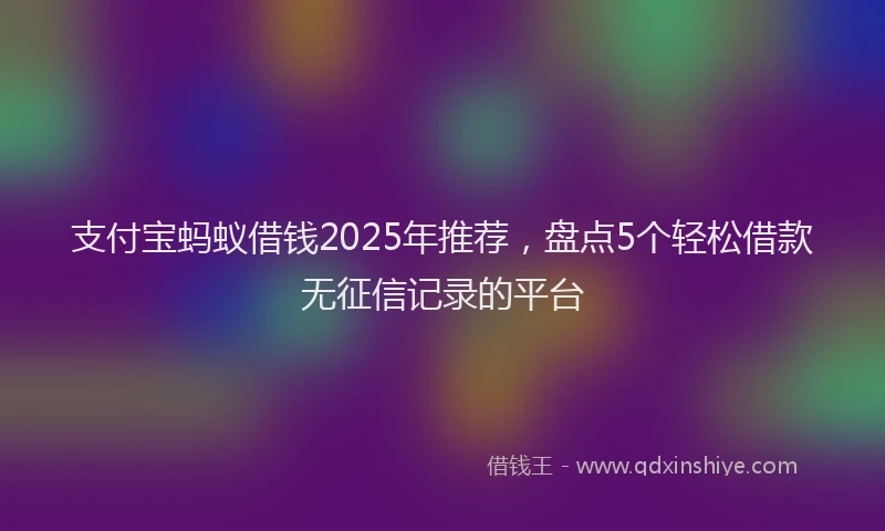 支付宝蚂蚁借钱2025年推荐，盘点5个轻松借款无征信记录的平台