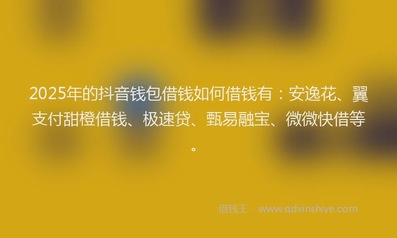 2025年的抖音钱包借钱如何借钱有：安逸花、翼支付甜橙借钱、极速贷、甄易融宝、微微快借等。