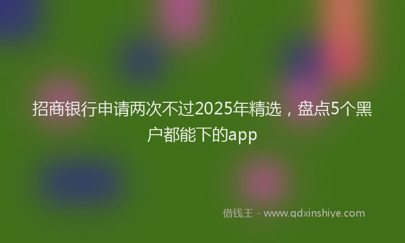 招商银行申请两次不过2025年精选，盘点5个黑户都能下的app