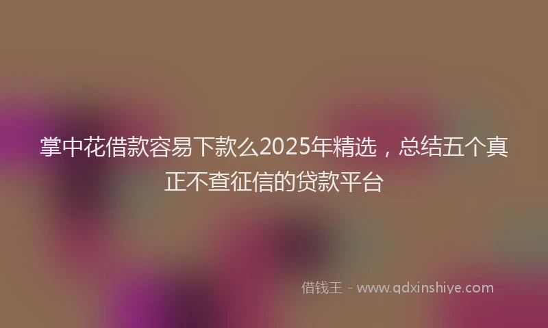 掌中花借款容易下款么2025年精选，总结五个真正不查征信的贷款平台