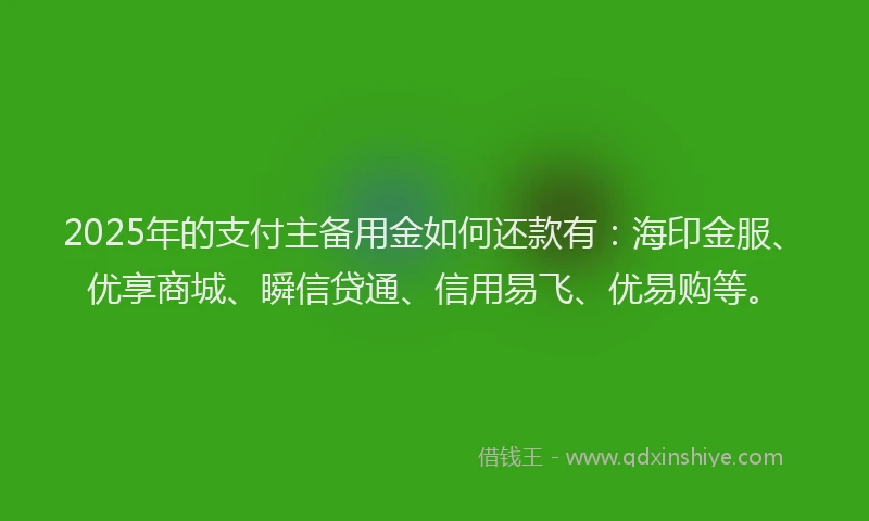 2025年的支付主备用金如何还款有：海印金服、优享商城、瞬信贷通、信用易飞、优易购等。