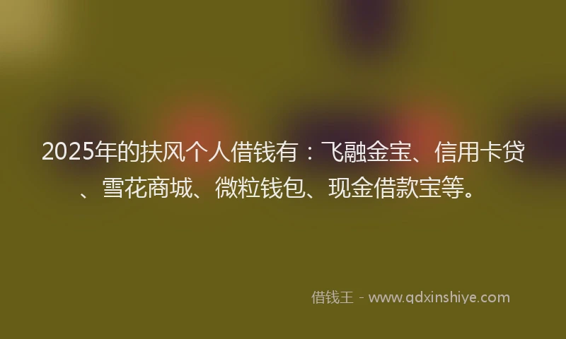 2025年的扶风个人借钱有：飞融金宝、信用卡贷、雪花商城、微粒钱包、现金借款宝等。