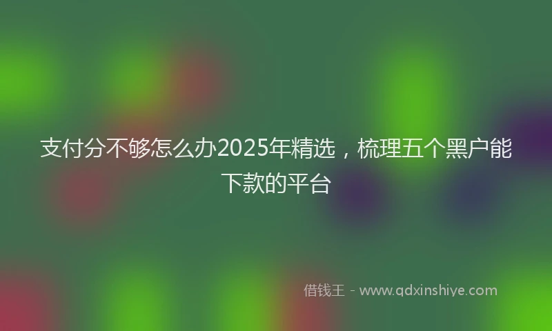 支付分不够怎么办2025年精选，梳理五个黑户能下款的平台