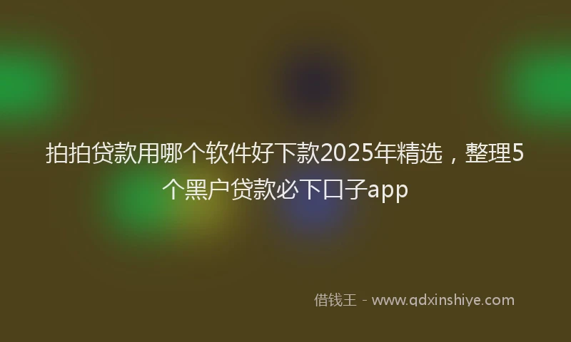 拍拍贷款用哪个软件好下款2025年精选，整理5个黑户贷款必下口子app