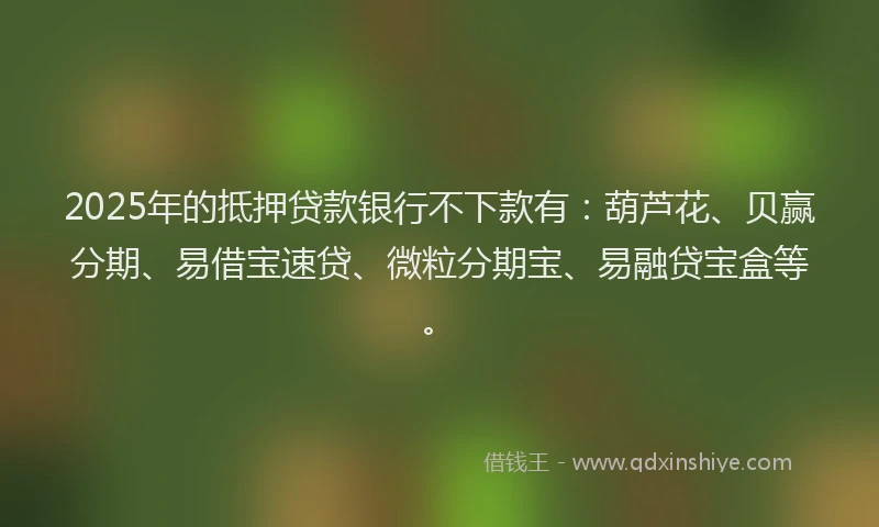 2025年的抵押贷款银行不下款有：葫芦花、贝赢分期、易借宝速贷、微粒分期宝、易融贷宝盒等。