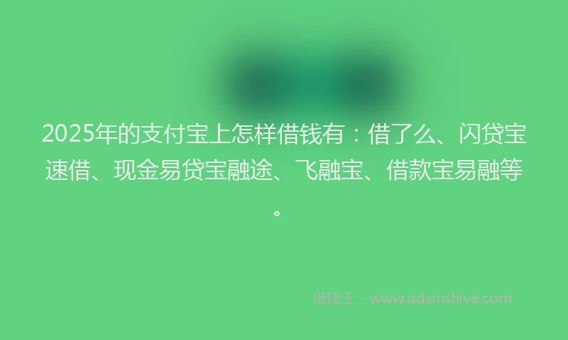 2025年的支付宝上怎样借钱有：借了么、闪贷宝速借、现金易贷宝融途、飞融宝、借款宝易融等。