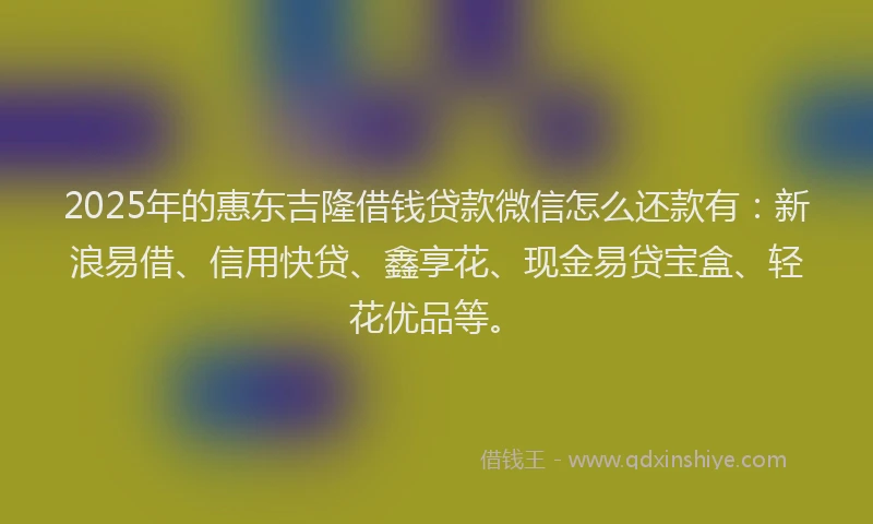 2025年的惠东吉隆借钱贷款微信怎么还款有：新浪易借、信用快贷、鑫享花、现金易贷宝盒、轻花优品等。