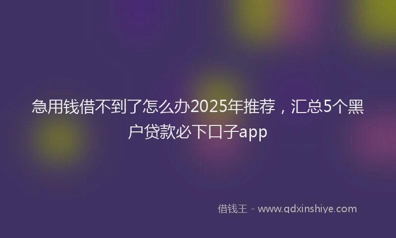 急用钱借不到了怎么办2025年推荐，汇总5个黑户贷款必下口子app