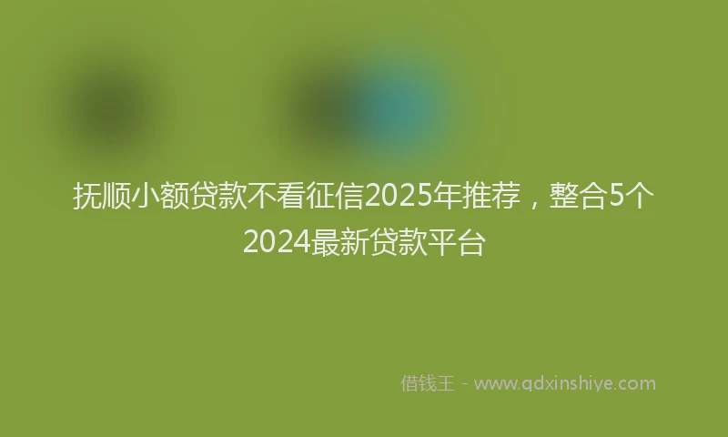 抚顺小额贷款不看征信2025年推荐，整合5个2024最新贷款平台