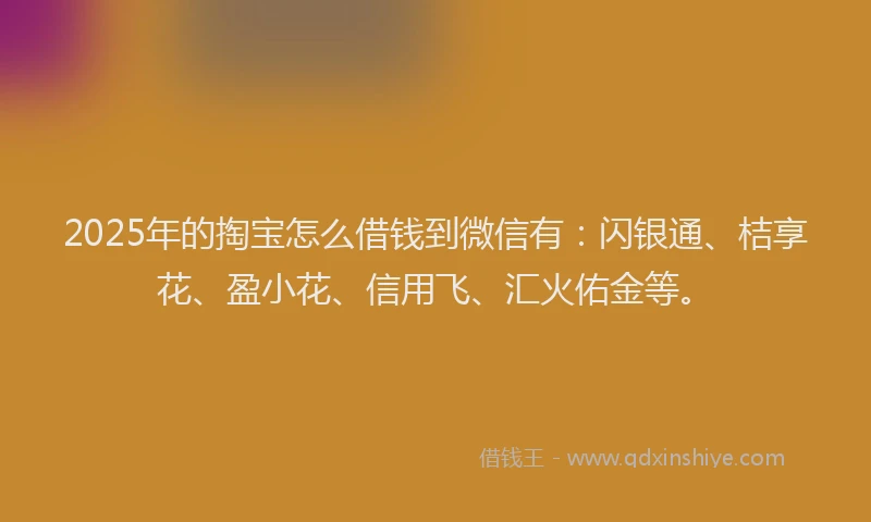2025年的掏宝怎么借钱到微信有：闪银通、桔享花、盈小花、信用飞、汇火佑金等。