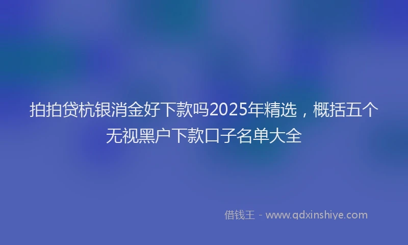 拍拍贷杭银消金好下款吗2025年精选，概括五个无视黑户下款口子名单大全