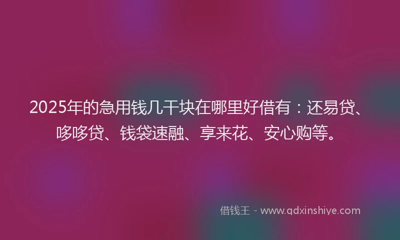 2025年的急用钱几干块在哪里好借有：还易贷、哆哆贷、钱袋速融、享来花、安心购等。