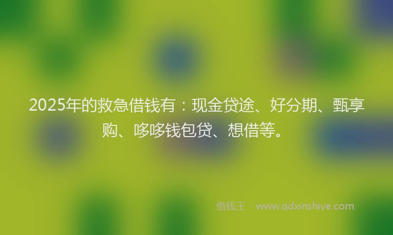 2025年的救急借钱有：现金贷途、好分期、甄享购、哆哆钱包贷、想借等。