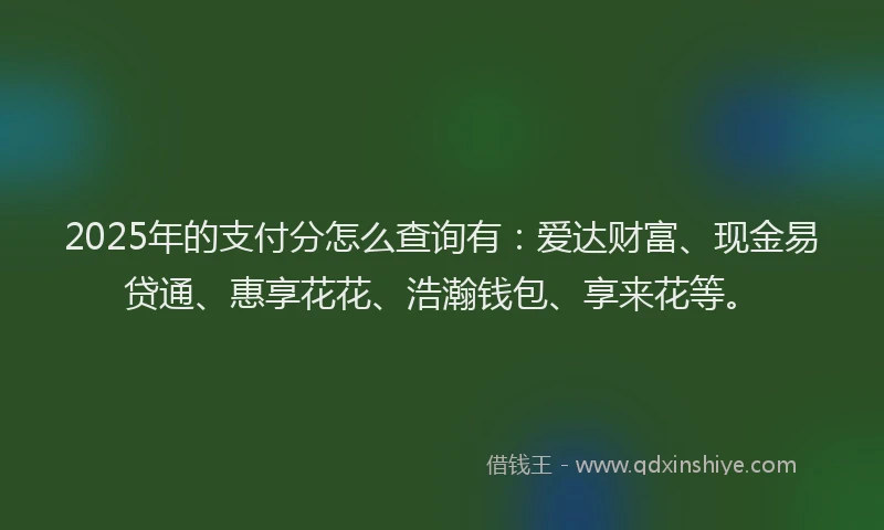 2025年的支付分怎么查询有：爱达财富、现金易贷通、惠享花花、浩瀚钱包、享来花等。