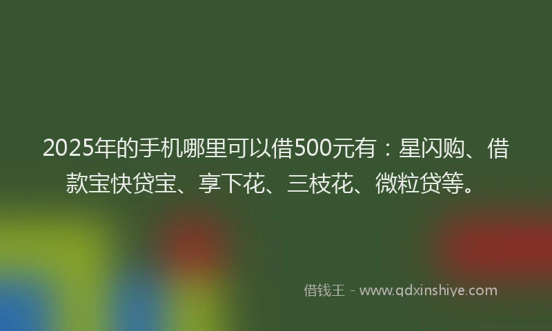 2025年的手机哪里可以借500元有：星闪购、借款宝快贷宝、享下花、三枝花、微粒贷等。