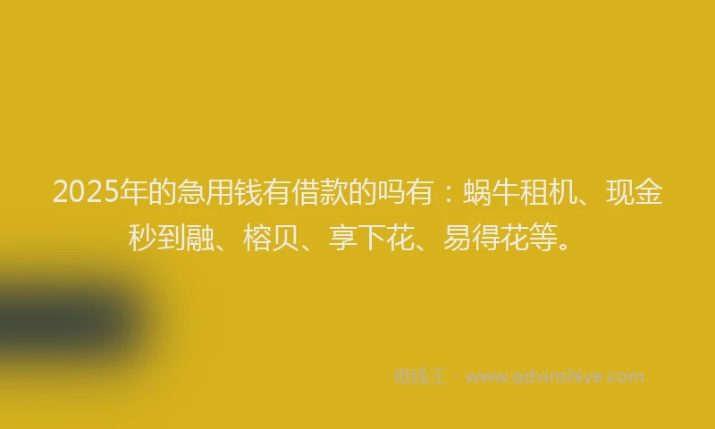 2025年的急用钱有借款的吗有：蜗牛租机、现金秒到融、榕贝、享下花、易得花等。