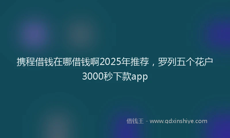 携程借钱在哪借钱啊2025年推荐，罗列五个花户3000秒下款app