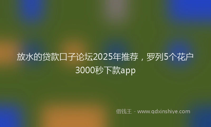 放水的贷款口子论坛2025年推荐，罗列5个花户3000秒下款app
