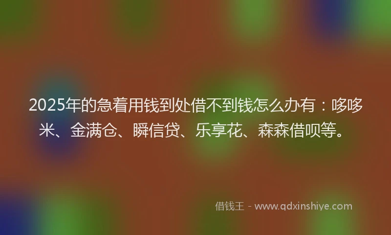 2025年的急着用钱到处借不到钱怎么办有：哆哆米、金满仓、瞬信贷、乐享花、森森借呗等。