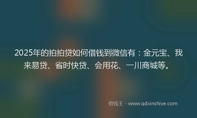 2025年的拍拍贷如何借钱到微信有：金元宝、我来易贷、省时快贷、会用花、一川商城等。