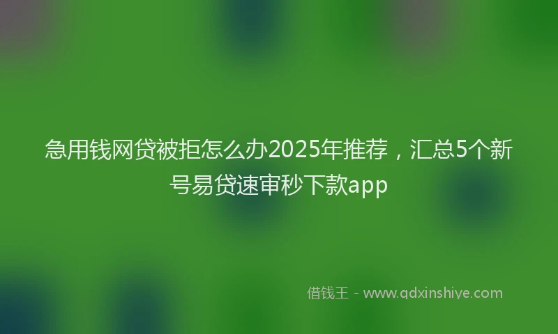 急用钱网贷被拒怎么办2025年推荐，汇总5个新号易贷速审秒下款app