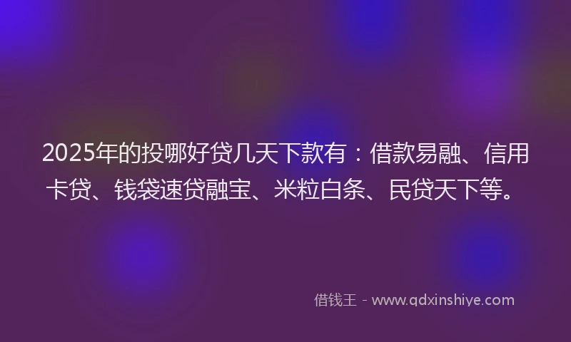 2025年的投哪好贷几天下款有：借款易融、信用卡贷、钱袋速贷融宝、米粒白条、民贷天下等。