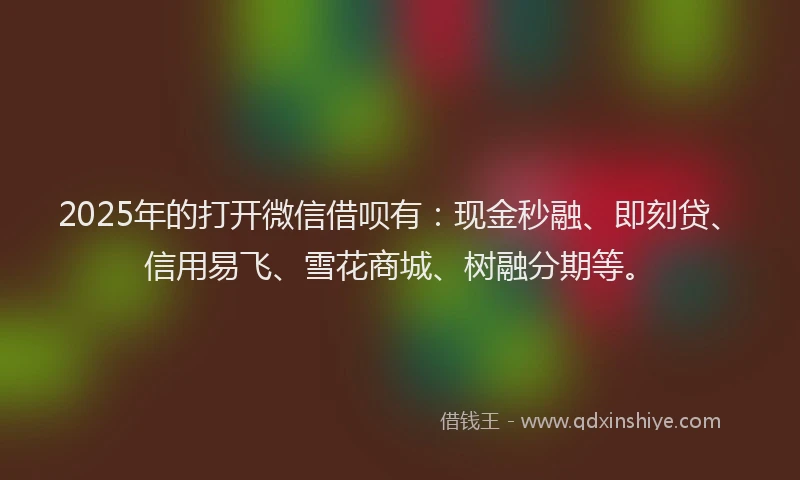2025年的打开微信借呗有：现金秒融、即刻贷、信用易飞、雪花商城、树融分期等。