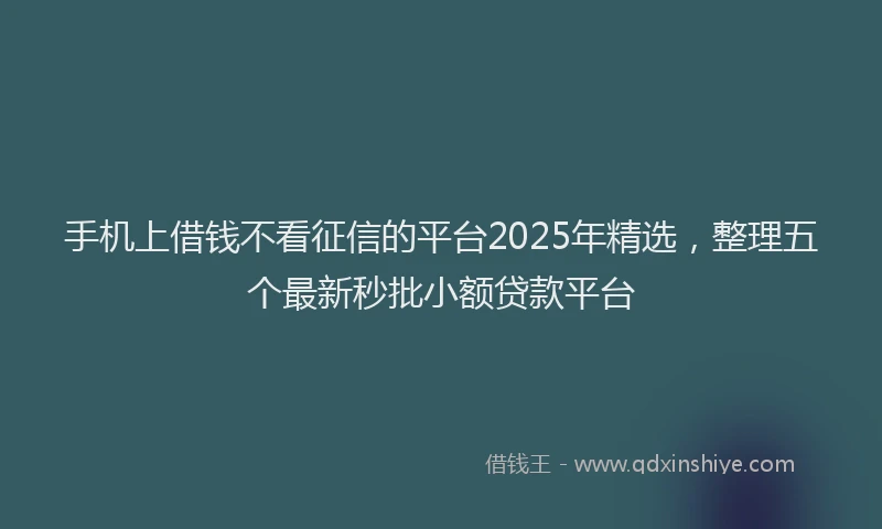 手机上借钱不看征信的平台2025年精选，整理五个最新秒批小额贷款平台