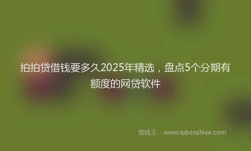 拍拍贷借钱要多久2025年精选，盘点5个分期有额度的网贷软件