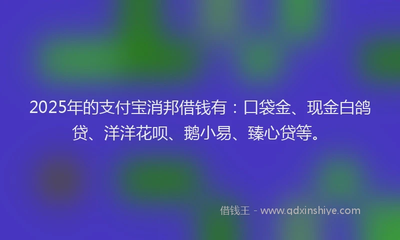 2025年的支付宝消邦借钱有：口袋金、现金白鸽贷、洋洋花呗、鹅小易、臻心贷等。