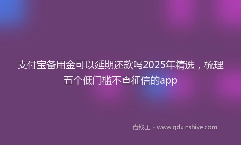 支付宝备用金可以延期还款吗2025年精选，梳理五个低门槛不查征信的app