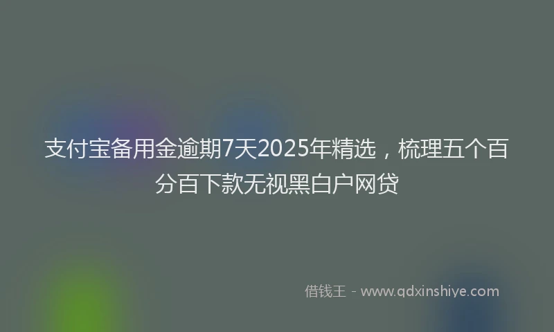 支付宝备用金逾期7天2025年精选，梳理五个百分百下款无视黑白户网贷