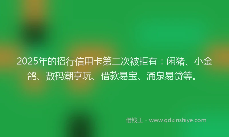 2025年的招行信用卡第二次被拒有：闲猪、小金鸽、数码潮享玩、借款易宝、涌泉易贷等。