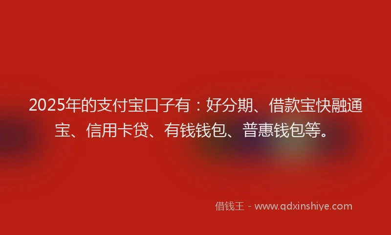 2025年的支付宝口子有：好分期、借款宝快融通宝、信用卡贷、有钱钱包、普惠钱包等。