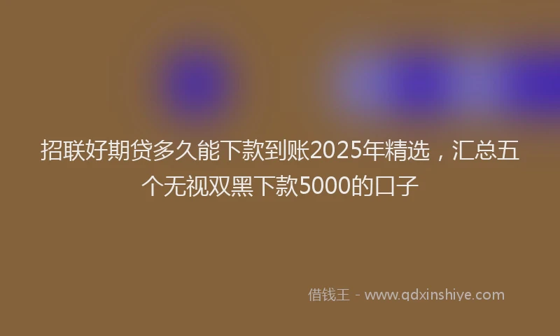 招联好期贷多久能下款到账2025年精选，汇总五个无视双黑下款5000的口子