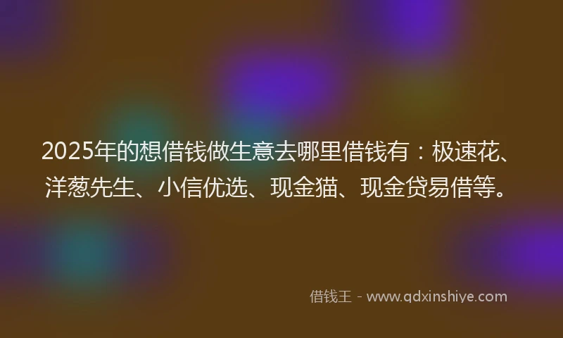 2025年的想借钱做生意去哪里借钱有：极速花、洋葱先生、小信优选、现金猫、现金贷易借等。