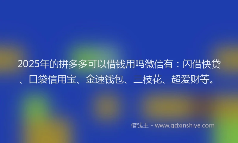 2025年的拼多多可以借钱用吗微信有：闪借快贷、口袋信用宝、金速钱包、三枝花、超爱财等。