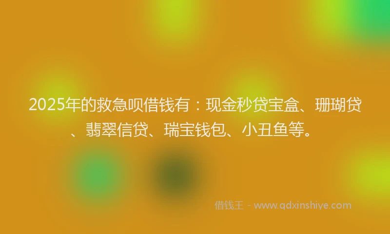 2025年的救急呗借钱有：现金秒贷宝盒、珊瑚贷、翡翠信贷、瑞宝钱包、小丑鱼等。