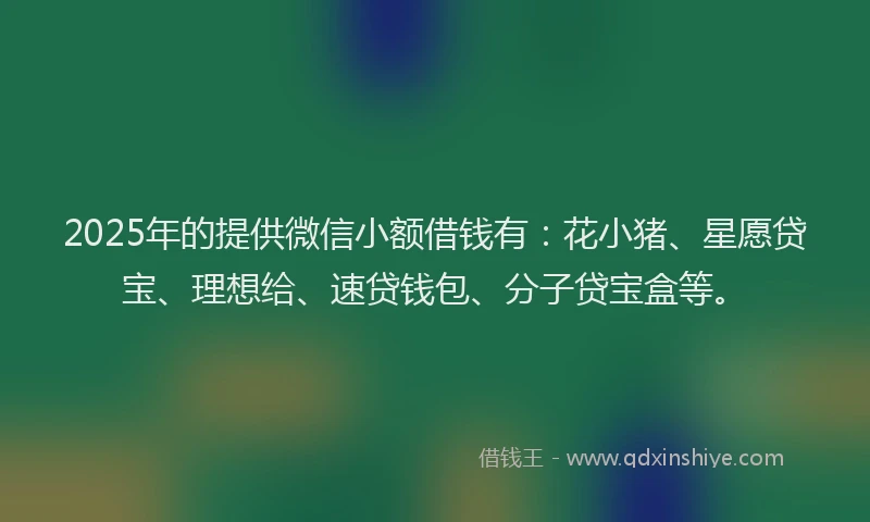 2025年的提供微信小额借钱有：花小猪、星愿贷宝、理想给、速贷钱包、分子贷宝盒等。