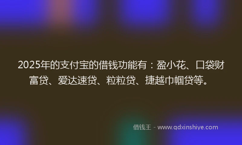 2025年的支付宝的借钱功能有：盈小花、口袋财富贷、爱达速贷、粒粒贷、捷越巾帼贷等。