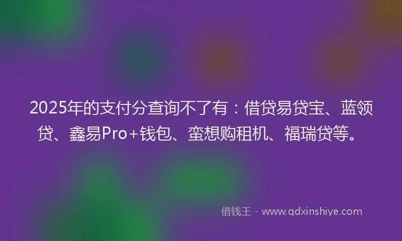 2025年的支付分查询不了有：借贷易贷宝、蓝领贷、鑫易Pro+钱包、蛮想购租机、福瑞贷等。