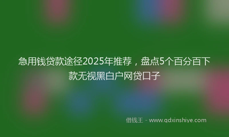 急用钱贷款途径2025年推荐，盘点5个百分百下款无视黑白户网贷口子
