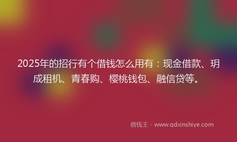 2025年的招行有个借钱怎么用有：现金借款、玥成租机、青春购、樱桃钱包、融信贷等。