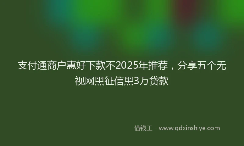 支付通商户惠好下款不2025年推荐，分享五个无视网黑征信黑3万贷款