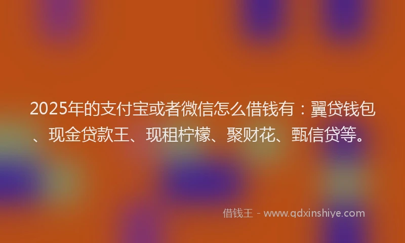 2025年的支付宝或者微信怎么借钱有：翼贷钱包、现金贷款王、现租柠檬、聚财花、甄信贷等。