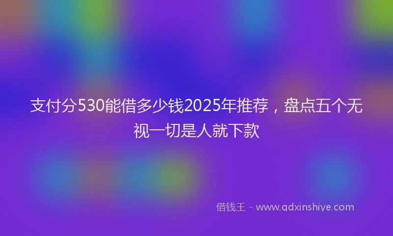 支付分530能借多少钱2025年推荐，盘点五个无视一切是人就下款