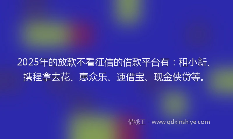 2025年的放款不看征信的借款平台有：租小新、携程拿去花、惠众乐、速借宝、现金侠贷等。